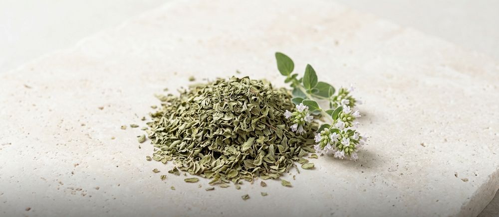 Dried Turkish oregano leaf (Origanum onites) with a fresh flowering sprig