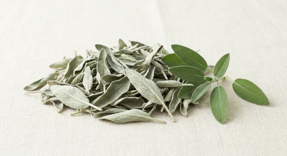 Dried Turkish sage leaves with a fresh sage branch